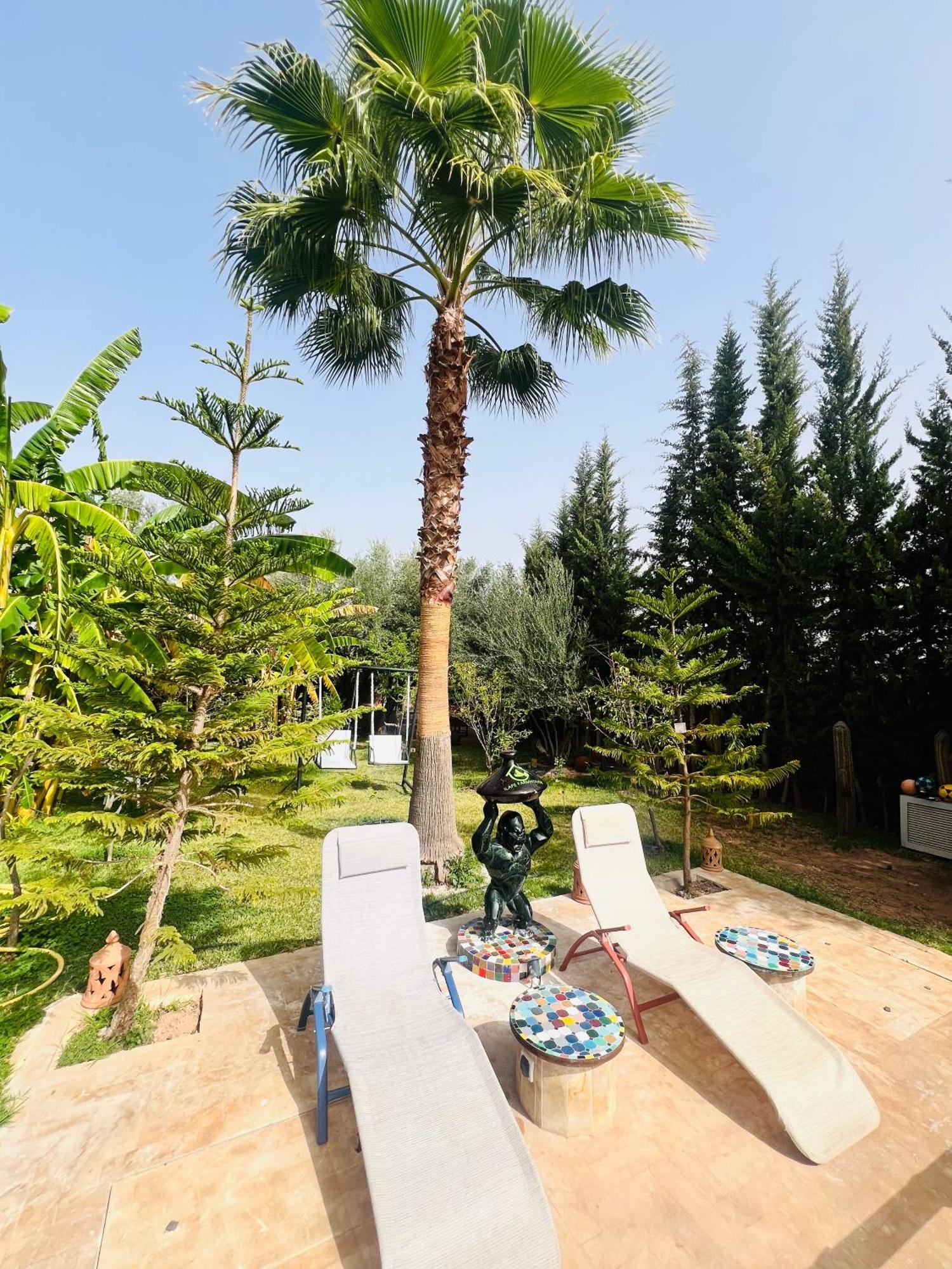 Ilafe Farmhouse, Villa Avec Piscine Chauffee Privee Et Jacuzzi Pour Familles Marrakesh Exterior photo
