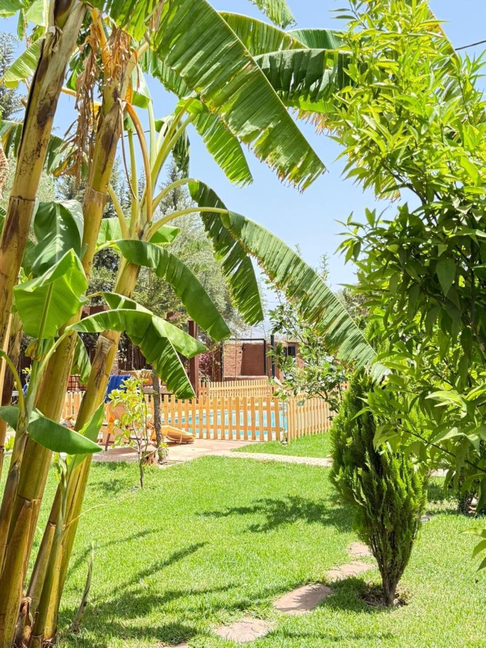 Ilafe Farmhouse, Villa Avec Piscine Chauffee Privee Et Jacuzzi Pour Familles Marrakesh Exterior photo